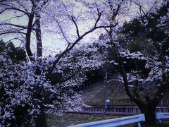 １３：５０頃、予定より結構時間が掛かってしまったが西吾野駅に到着～

下は桜がきれいだ。

