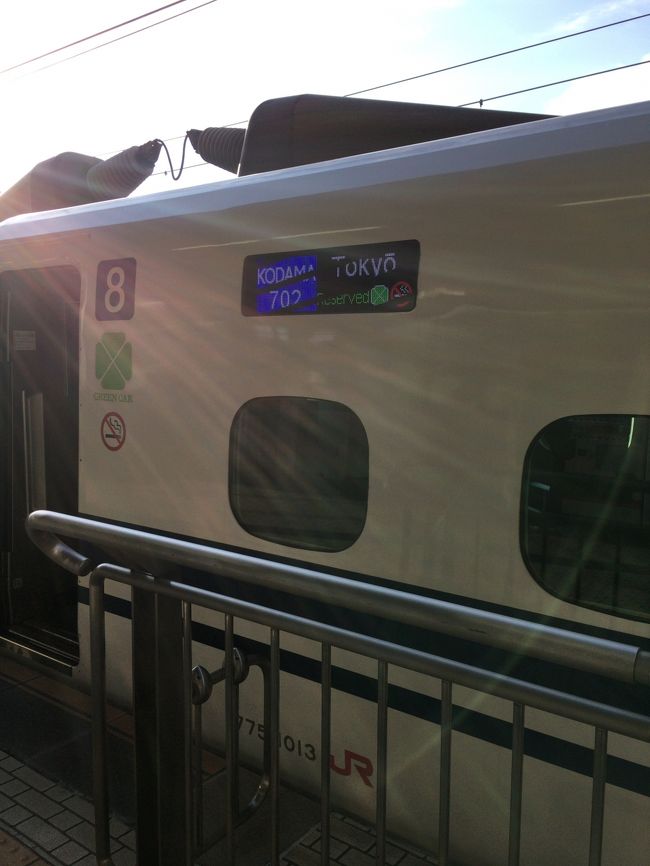 往きです。本当はNGO-HND便にしたかったのですが、乗り継ぎ時間が少し短いのと（T2からInt移動もあるし）、今回はJALABCのピック荷物もあるんで確実な新幹線にしてみました。株主優待券、使わずに余ってまう