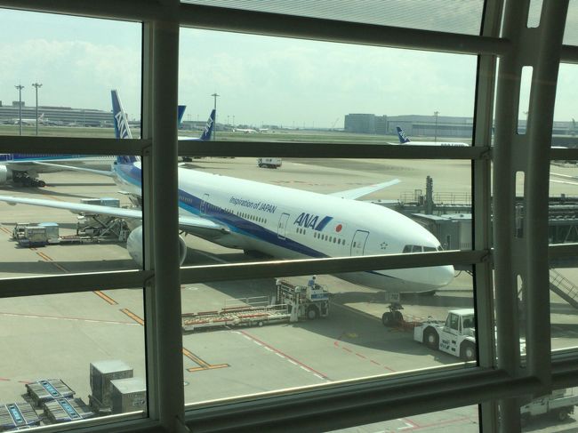 ７７７ですな。乗るのはこれみたいです。