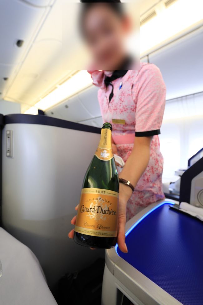 さて、ミール開始。まずはシャンパンで。私はあまり飲めないのでこれ1杯で終わりです。