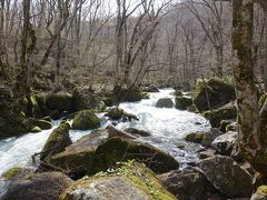 奥入瀬渓流に沿って、車で十和田湖方面へ。奥入瀬渓流の名所の一つ、阿修羅の流れの近くに車を止めて。