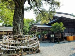 龍潭寺の駐車場が満車だったので、お隣の井伊谷宮の駐車場に車を停めました。
広い無料駐車場があるので、混んでいる時は便利ですよ。