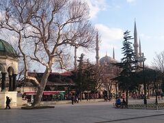 Sultanahmet Squareに到着。ここでも10分のフリータイムがありました。
左手前がGerman Fountain、右奥に見えるのがブルーモスク。