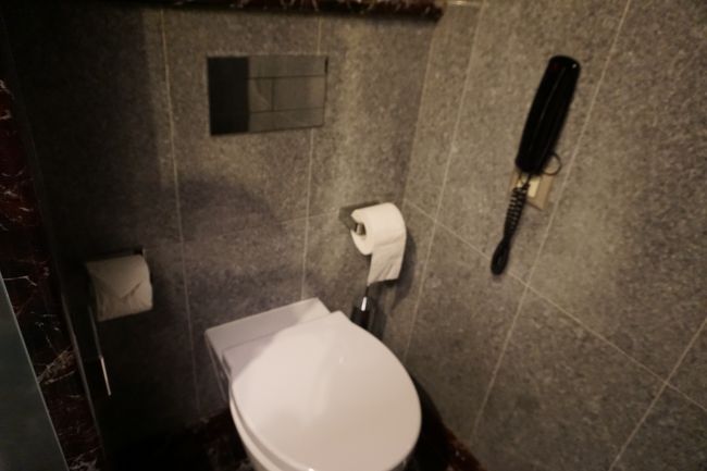 夕方、ホテルをチェックアウトです。<br />インターコンチネンタル・ポルトに宿泊しておりました。<br /><br />娘が、ポルトガルの物価は安いのでホテル代の安い（ヨーロッパの他の国と比較して）との理由と、インターコンチなど泊まったことがないので、またホテルの場所が便利な場所にあるとの理由で、このホテルに決定しました。<br />私達夫婦は出来れば飛行機だけはビジネスクラス乗りたい思います。10-12時間も同じ椅子に座っているのですから。<br />ホテルでは寝るだけの時間を過ごすだけです。ほとんど観光で外出しているのですから。<br />このホテルは観光に最高に便利な場所にあります。過去夫婦で宿泊した、ランクで言えば、最高のホテルです。しかしながら、また過去、最低サービスのホテルとも言えます。<br />