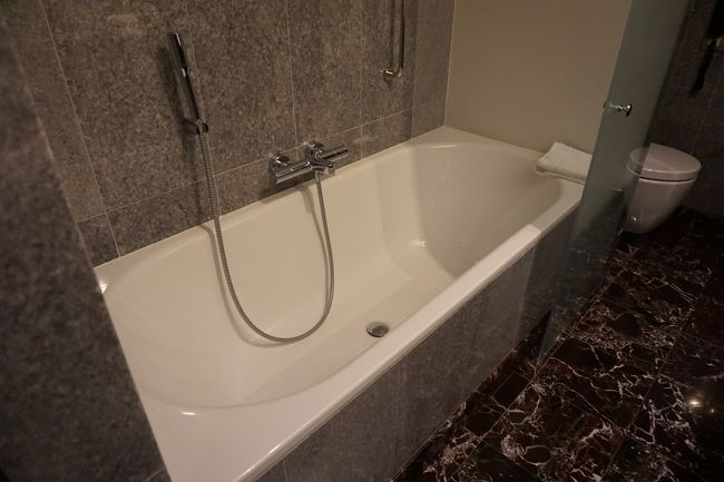 バスタブもありました。