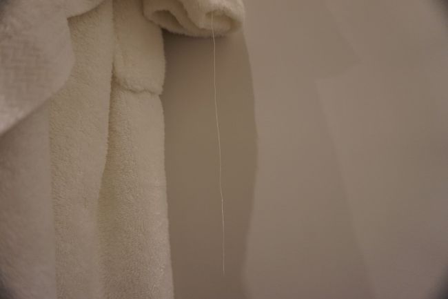 高級ホテルですが、タオルは使い方古されて、糸が垂れてます。しかしながらサービスは三流。ツインルームで2名なのに、ペットボトルが一本しか用意されてません。明くる日、廊下でメードさんに会ったので、２本お願いしましたが、部屋に帰るとやはり一本しかありませんでした。また昨日は、バスローブが一つしか無かったので、フロントで２着をお願いしましたが、バスローブ自体が消えてました。<br />帰国後、高級ホテルの支配人を話す機会があり、この件を話すと、そのホテルでは<br />フロントへ電話すると、何本でもお持ちしますとの事でした。その方が仰るには、お国柄かなと。<br />