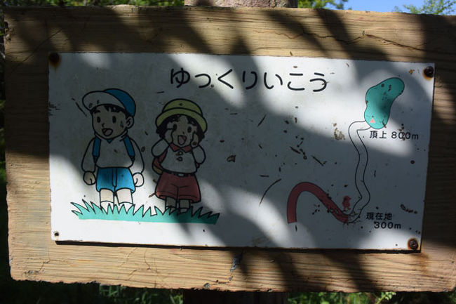 300m／800mです。