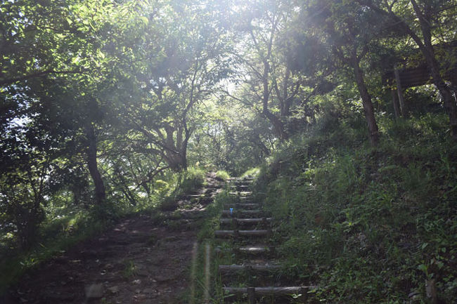 木陰がありますから、直接日光が当たることは少ないのですが勾配が急なので汗が出ます。<br />時々休みながらそして水分を補給しながら登っています。