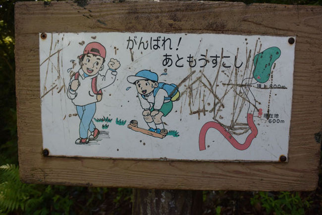 600m／800mです。