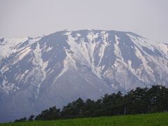 小岩井農場一本桜よりの岩手山