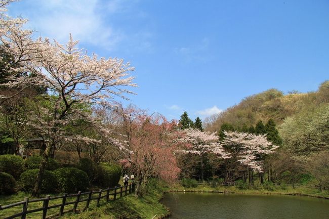 最明寺史跡公園 神奈川の桃源郷の様 秦野 松田 足柄 神奈川県 の旅行記 ブログ By 温泉大好きさん フォートラベル