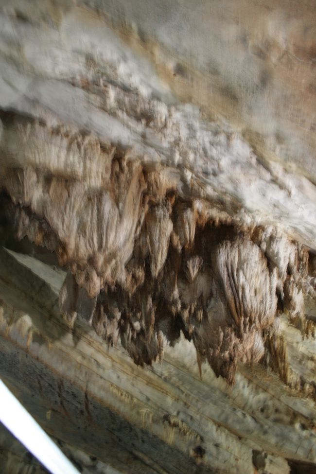 船が動いているので、ブレブレ。<br />ブレてない画像がない・・・・・・・・・・・・・。