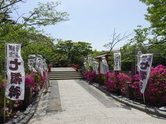 鶴岡八幡宮で一番つつじが多かったところ、源氏池。