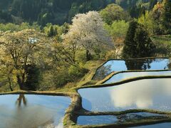 12：20　新潟　儀明の棚田

ぎりぎり桜が残っていた。


駐車スペース有り