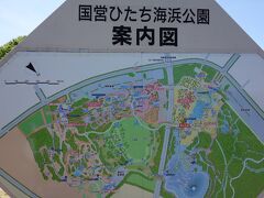 国営ひたち海浜公園

ここも９時半開場のはずなのに、９時に到着したときには既に開園されてました。

全く並ぶことなくチケット購入出来ました。

中にいる人の感じからして１時間前には開園してたのかな？？？



あとで気づいたのですがＨＰ

http://hitachikaihin.jp/

ここ見ると、その日の開園時間が書いてあるので参考にしてください。

ＧＷは早朝開園しているみたいです。

まぁ、行く予定してないのでＨＰなんて見ませんよね＞＜