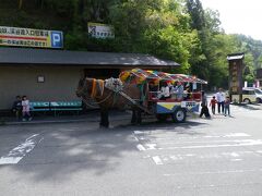 「秩父多摩甲斐国立公園」の看板があって、ここから渓谷沿いの舗装された道を歩くよ。
タイミングが合えば、トテ馬車に乗ってもいいかもね。