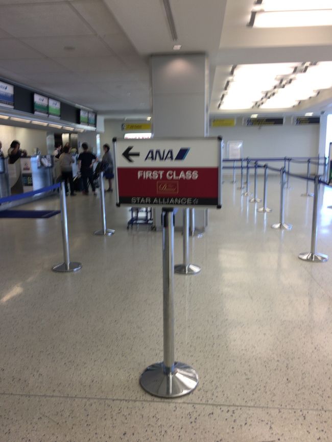 やっとチェックイン場がありました