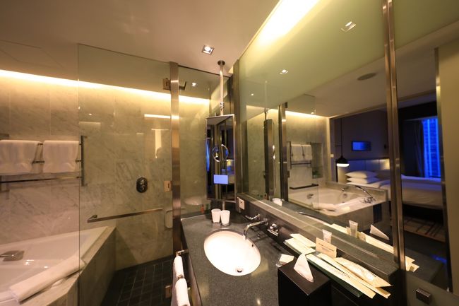 いつもの鏡張りシャワールーム。二人では多分少し恥ずかしいかも