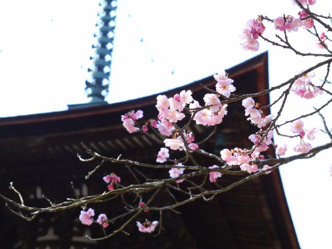 女子旅 きっとこれが女子旅 石山寺と南郷温泉 石山寺周辺 滋賀県 の旅行記 ブログ By S T E Pha N I Eさん フォートラベル