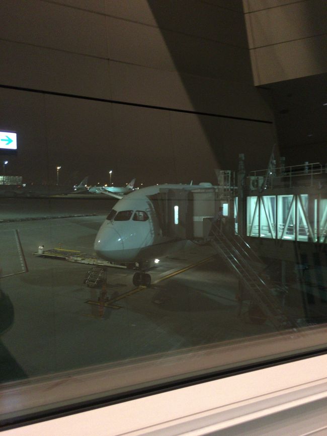 本日乗る７８８