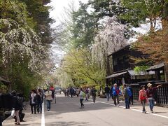 内町の武家屋敷通り（枝垂れ桜が綺麗です。）