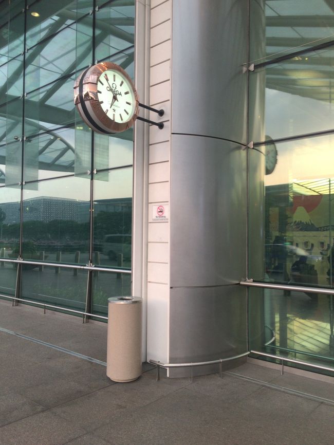 チャンギＴ２着。まだ７時前です（汗