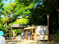 慶沢園に150円を払って入りました。
天王寺にある日本庭園です。