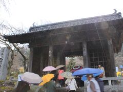 光前寺～紅しだれ桜は全然咲いていませんでした～
今前回の花見は、とことん外したなぁ