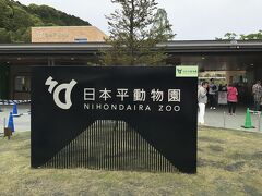 １２時半過ぎ頃、思っていたような渋滞などは全くなく、日本平動物園に着。
ただ、駐車場に入るのには少し並んだ。

１９６９年８月開園。当時の園地面積６６，０００㎡で、展示動物１２３種３７１点だったのが、２０１３年（平成２５年）４月、北海道の旭山動物園のような行動展示型の動物園としてリニューアルオープンし、現在は約１３，０００㎡で、展示動物は約１７０種８００点に。

動物園の広さは、広すぎず、狭すぎることもなく、ちょうどよいくらいの大きさ。
この動物園は、１０年ほど前に、直立することが話題になったレッサーパンダの「風太」の生まれた動物園で、レッサーパンダ館というのがちゃんとあった。

入園料は、大人６１０円。
ＧＷ期間中は何と朝７時からオープンしているとのことだった。