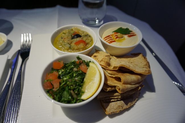 ナンの様な　アラビア風の料理をチョイス。
