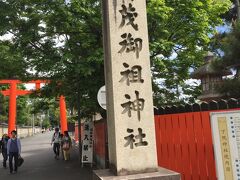 鴨川沿いに北に歩けば、下鴨神社の大鳥居。