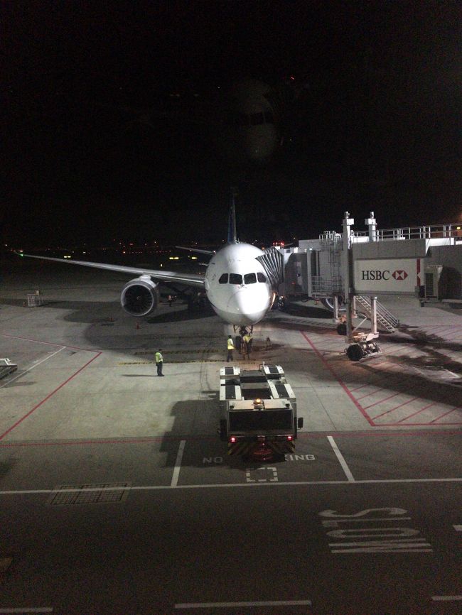 搭乗する７８８。Ｃ席はスタッガードタイプですね。