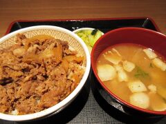 とりあえず牛丼でも食べながら
旅の余韻に浸るとしよう


おしまい
