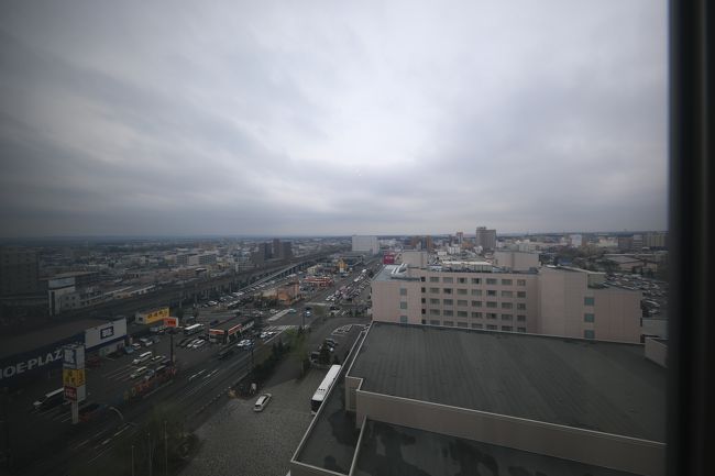 窓からの眺め、ダダ曇りです。右下がイオン。ただ、コンビニが近くにありません。イオンでいろいろ調達はできますが...