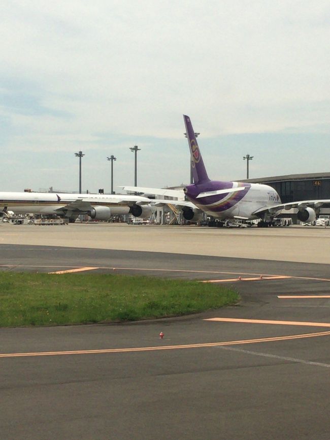 タクシングちう。ＴＧのＡ３８０がいました。でかいですね。一度乗ってみたいなぁ。