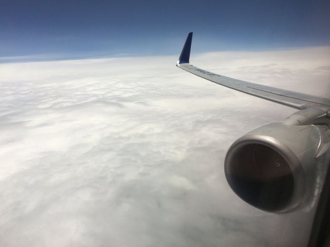 真っ白ですな。天気は悪そうです。