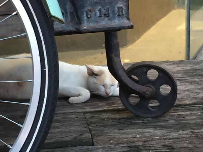 今回はホテルステイが多く外に出るのは食事と買い物ぐらいで写真がほぼありません。<br />チェックアウト後もシャワーやクラブルームの利用も無料でできました。