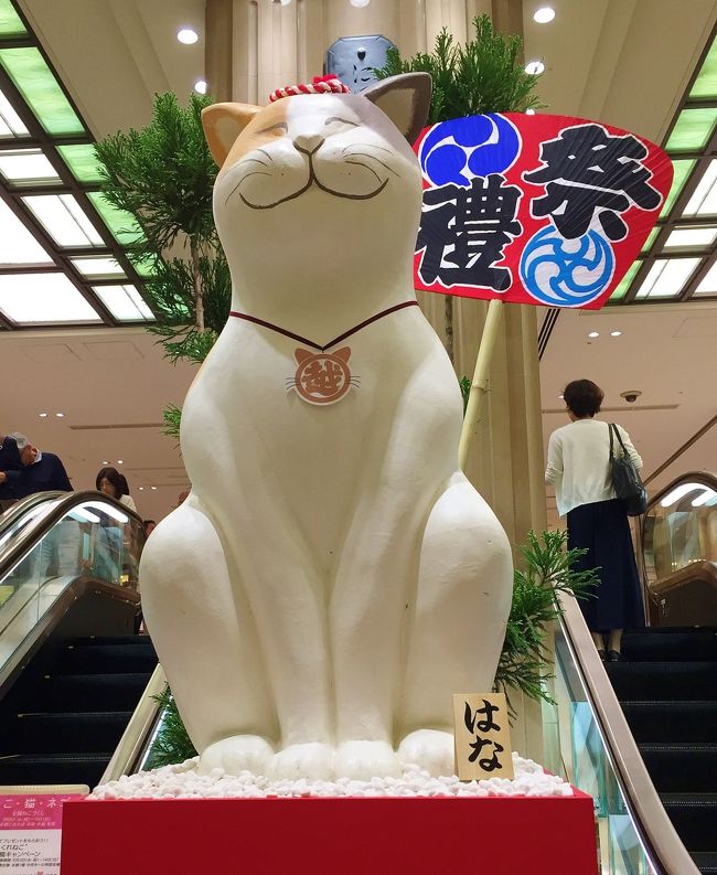 ねこだらけ猫展めぐり ねこ休み展 福ねこat百段階段 岩合光昭写真展 ねこの京都 など 東京の旅行記 ブログ By まめ猫さん フォートラベル ねこだらけ猫展めぐり ねこ休み展 福ねこat百段階段 岩合光昭写真展 ねこの京都 など 東京の旅行記 ブログ By まめ猫さん フォートラベル