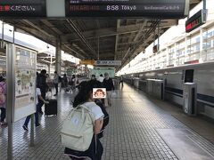 ８時過ぎの京都駅。
わたしの方が２分だけ早く到着したので、降りたところを驚かそうとこっそり近づくもあっさりばれてしまいました。