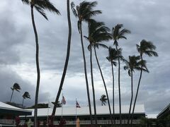 ☆Hawaii-Kauai★

この日はホテルに戻りゆったりと過ごす。カウアイリゾートショアーズ。破格の値段が並ぶカウアイ島にあって、まだ手頃な価格で快適だった。そしてカウアイ島、昼夜の寒暖の差が激しい。日中は晴れていると南国の気候だが、夜になると寒いぐらいだ。防寒対策もしっかりした方がいいでしょう。