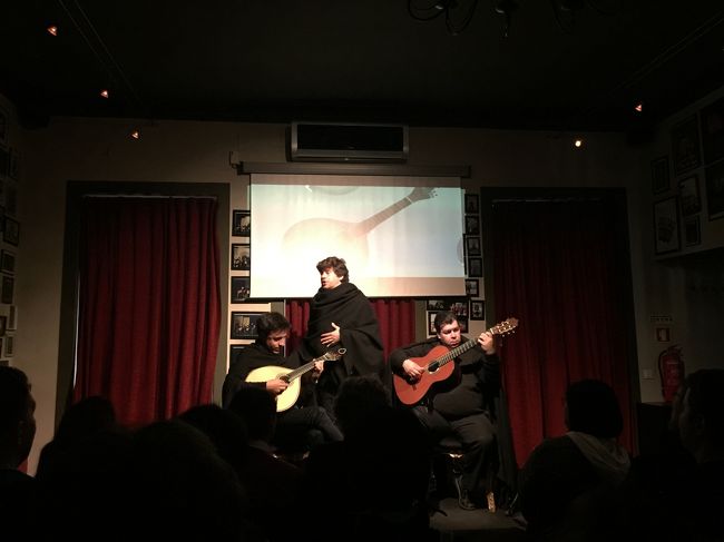 ほとんどがコインブラ大学の出身者だそうです。