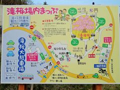 郡山へ向かう途中、三春町の三春滝桜へ立ち寄りました。