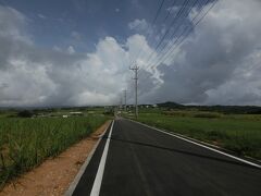 島はとにかく日差しが強いので、
サイクリングは午前中にしよう！
と、急きょ9時から4時間
ホテルで電動アシスト自転車を借りて、
小浜島を巡ります。