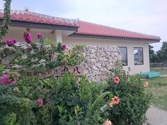 今日の晩御飯は、「石垣島料理丸八」。新しいお店のようです。
看板がなくて、入口の店名も植物で隠れてしまっているので、見過ごすところでした。