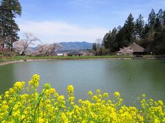 本堂へ行く道には弁天池があり、菜の花・桜・お堂・周囲の山を一度に眺められる素晴らしい景色が広がります。
