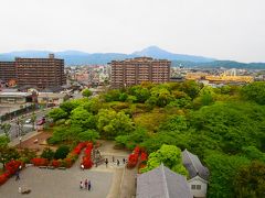 奥に見えるのが伊吹山かな。
城下は緑とお花が沢山でとても綺麗でした。