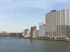 橋の上から眺める隅田川。