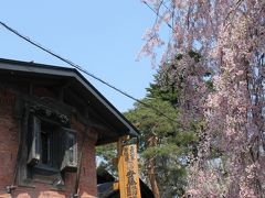 安藤醸造横の枝垂桜も見事です。
レンガ造蔵と桜、風情があります。