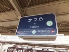 桂駅で特急を降りて普通電車に乗り換えます。