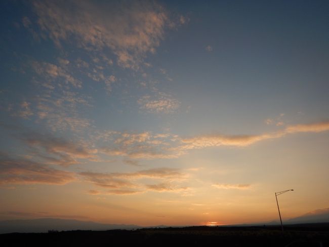 始まりました。